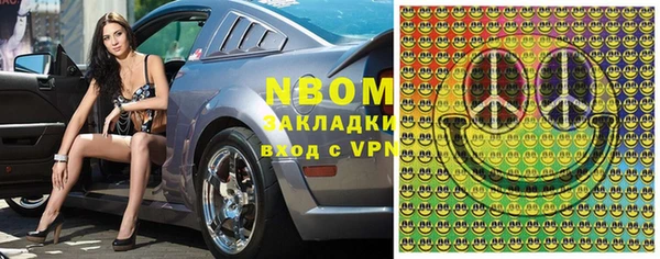 индика Приозерск