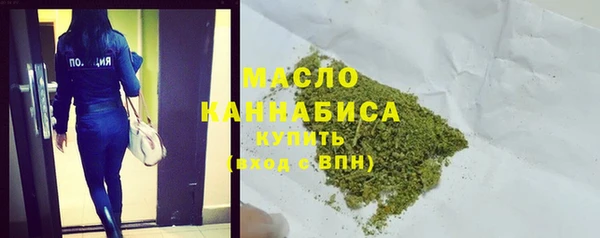 индика Приозерск