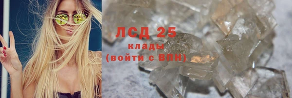 индика Приозерск