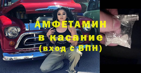 индика Приозерск