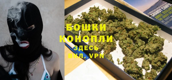 гидра Бронницы