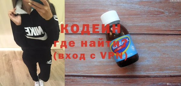 индика Приозерск