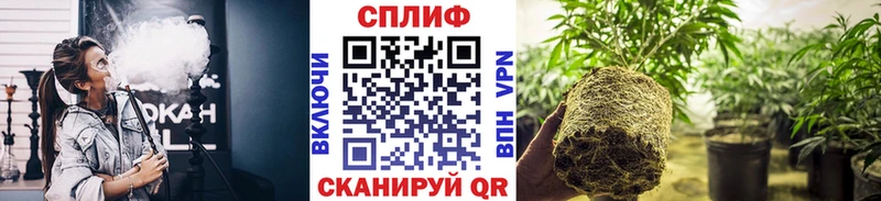 Конопля семена как найти закладки Буинск